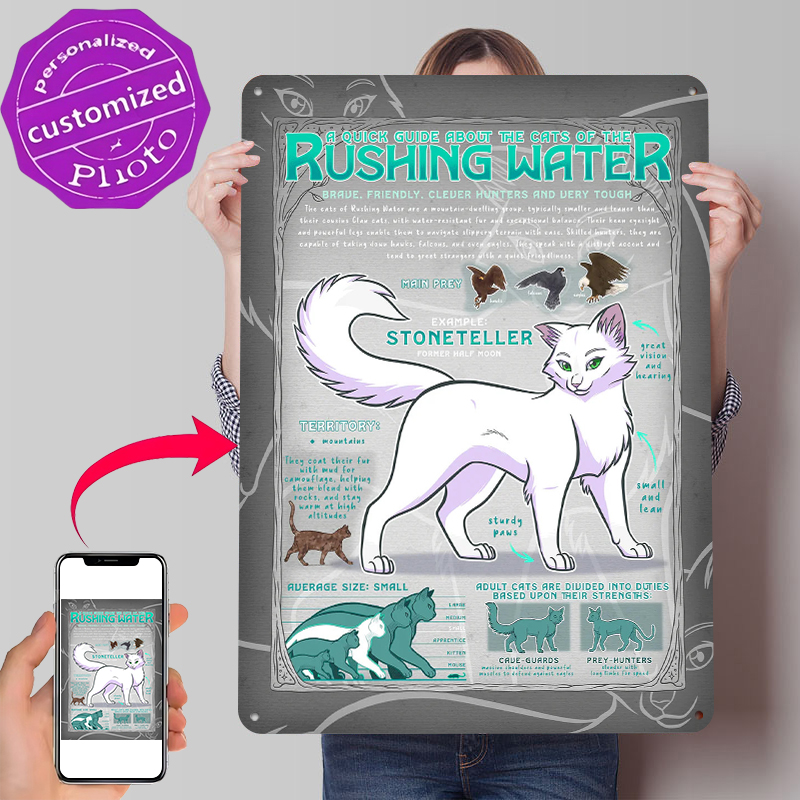 Guide to Rushing Water Cats ブリ - Retro Gaming Guide のレビューと価格
